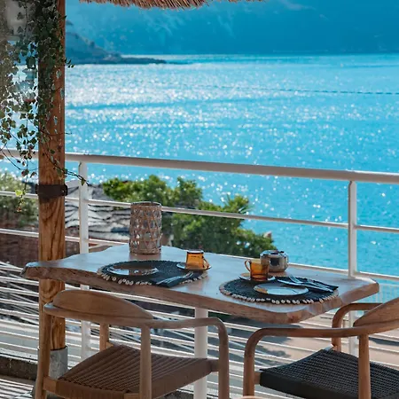 Hotel De La - Mahogany Cassis